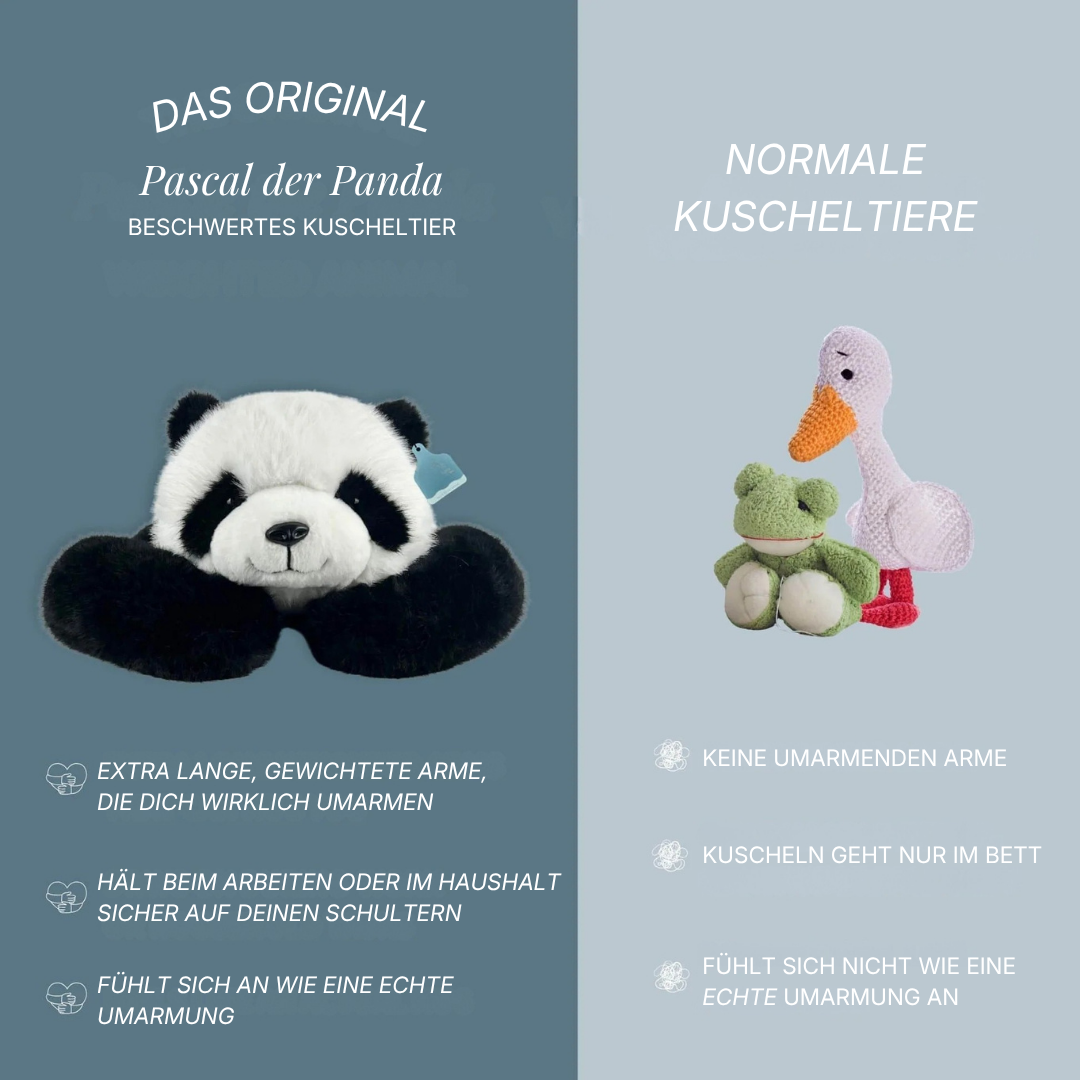 Pascal der Panda