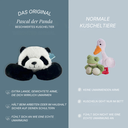 Pascal der Panda